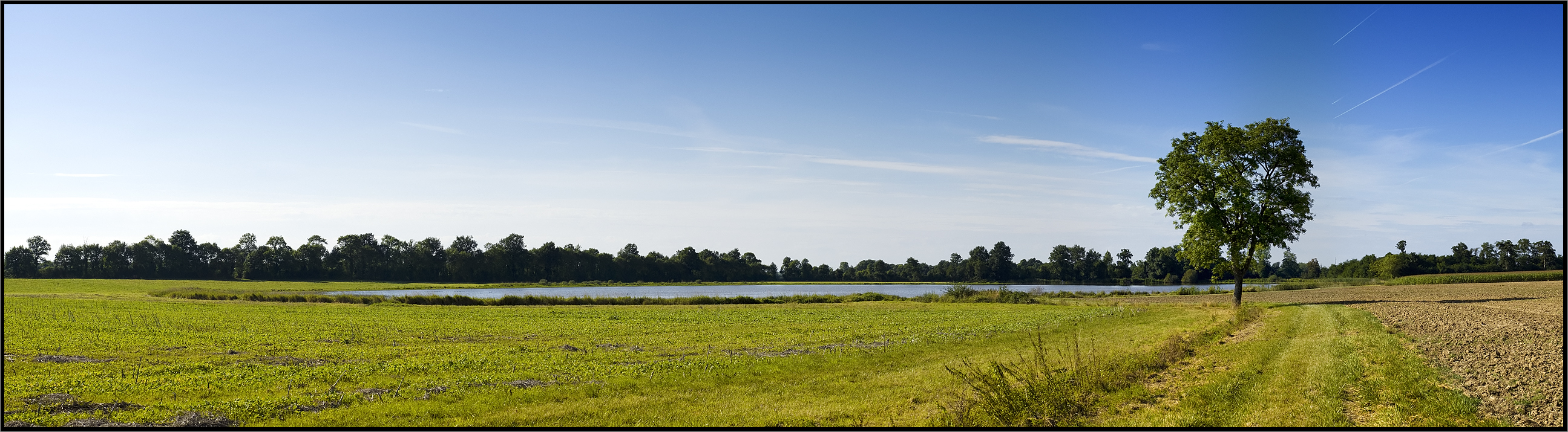 La Dombes, Ain, France