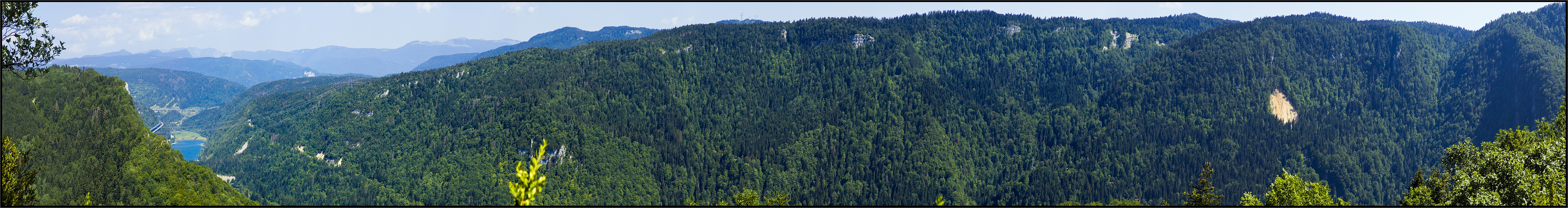 Des arbres, encore des arbres... Les Monts d'Ain, Lac de Sylans (01), France, Juillet 2006
