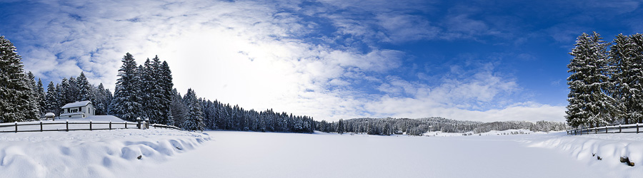 Visites Virtuelles, 2010