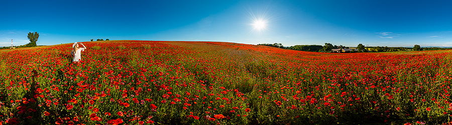 Shooting Laurie, 2019